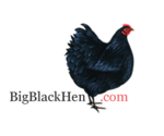 BigBlackHen.Com Ltd Logo